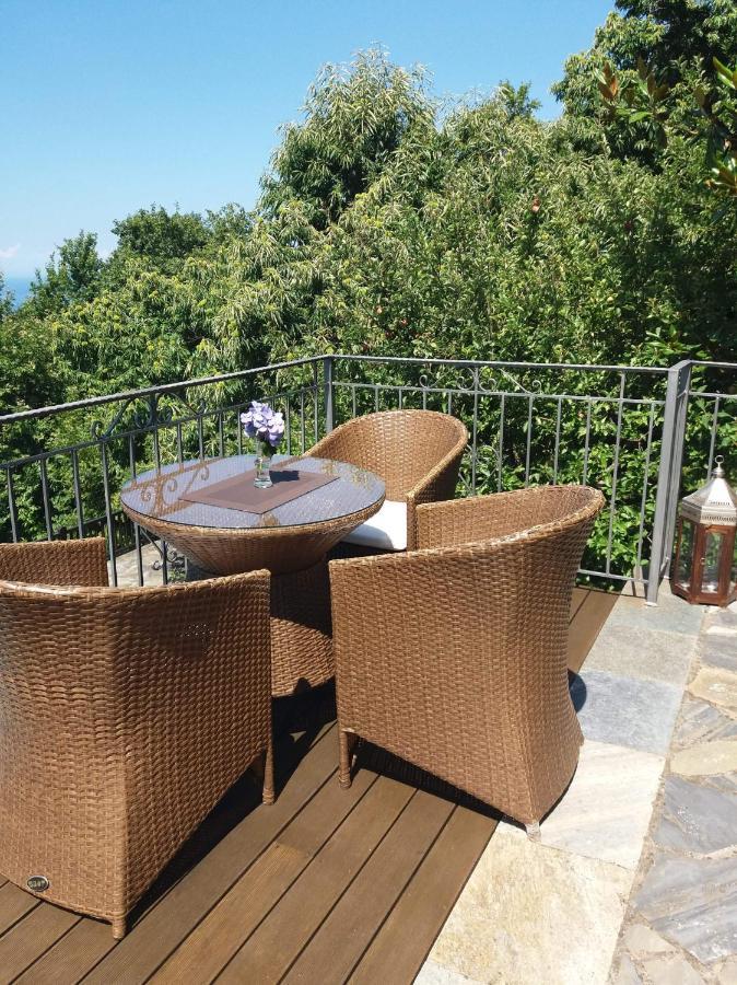 Hotel Aroma Piliou - Άρωμα Πηλίου Mourésion Exterior foto