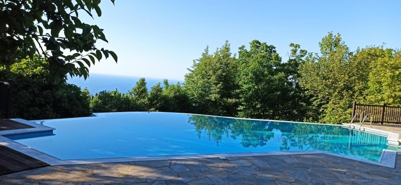 Hotel Aroma Piliou - Άρωμα Πηλίου Mourésion Exterior foto